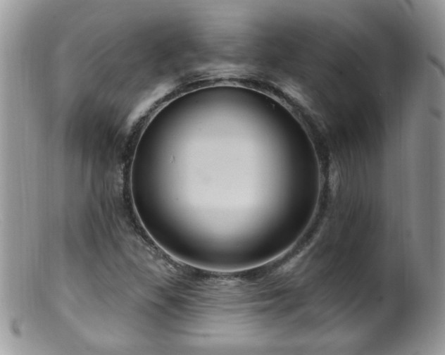 X0000099381309200805151609