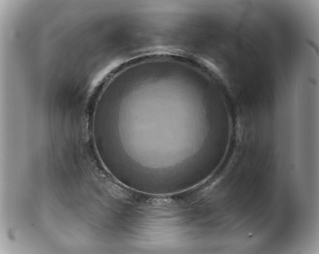 X0000099381310200805151609