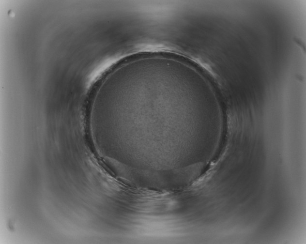 X0000099381311200805151609