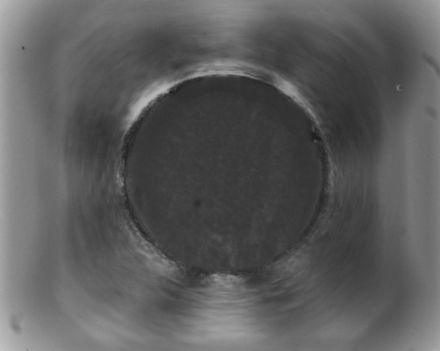 X0000099381312200805151609