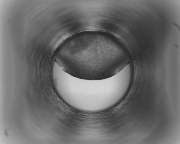 X0000099381314200805151609