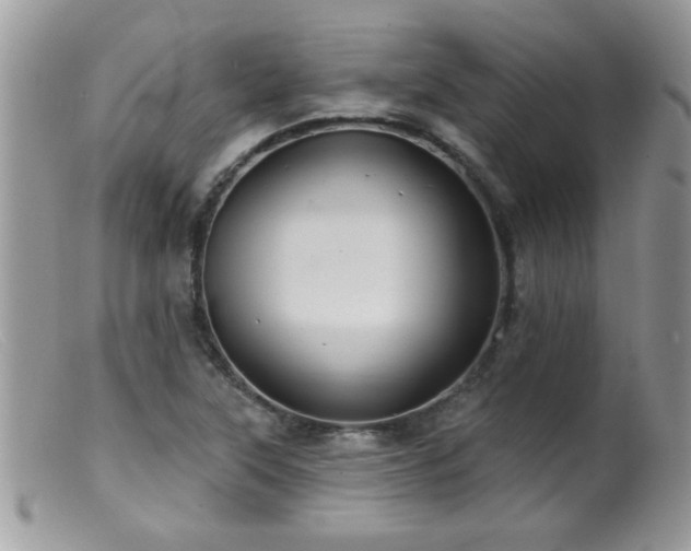 X0000099381315200805151609