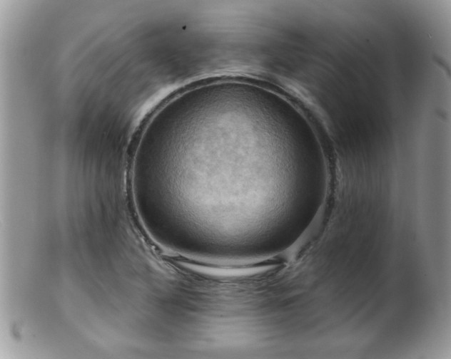 X0000099381316200805151609