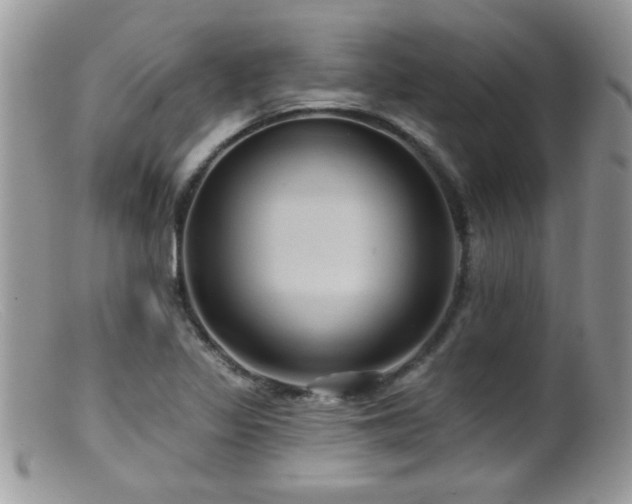 X0000099381317200805151609