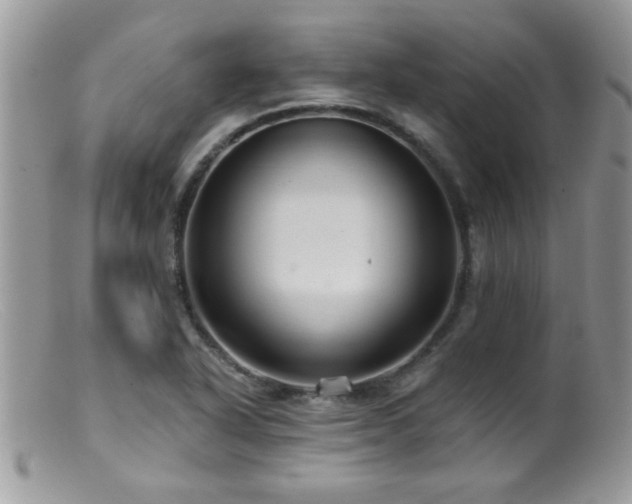 X0000099381318200805151609