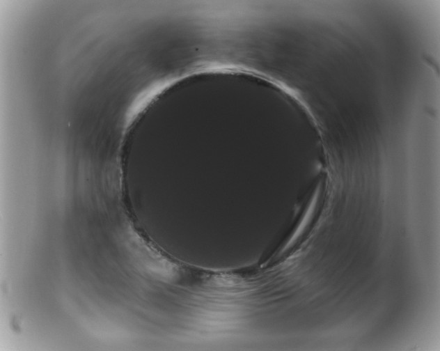 X0000099381319200805151609