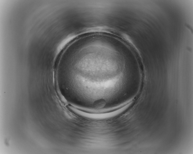 X0000099381320200805151609