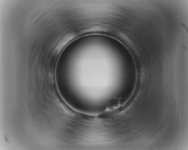 X0000099381321200805151609