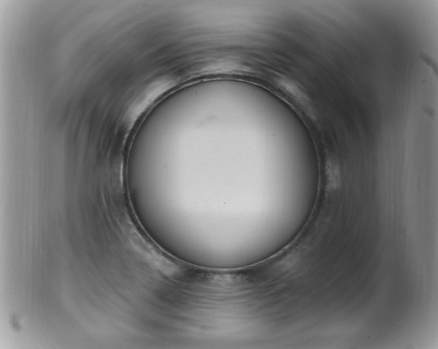 X0000099381322200805151609