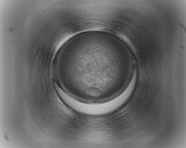 X0000099381324200805151609