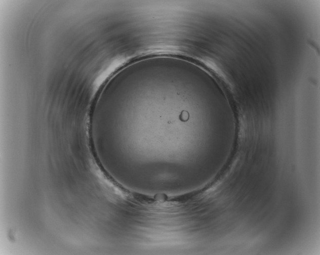 X0000099381325200805151609