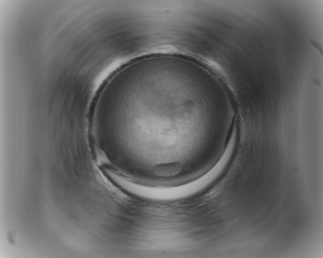 X0000099381326200805151609