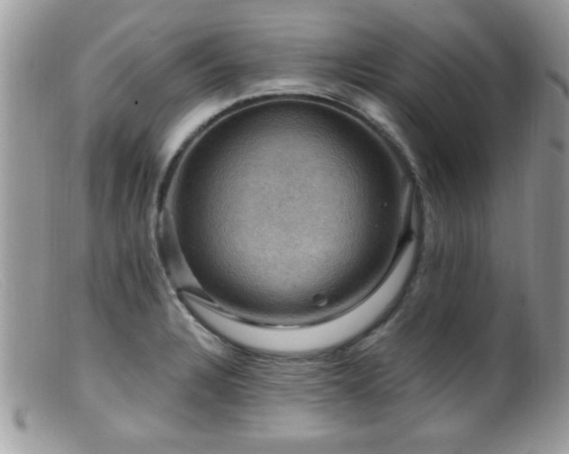 X0000099381328200805151609