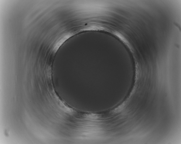 X0000099381329200805151609