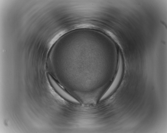 X0000099381330200805151609