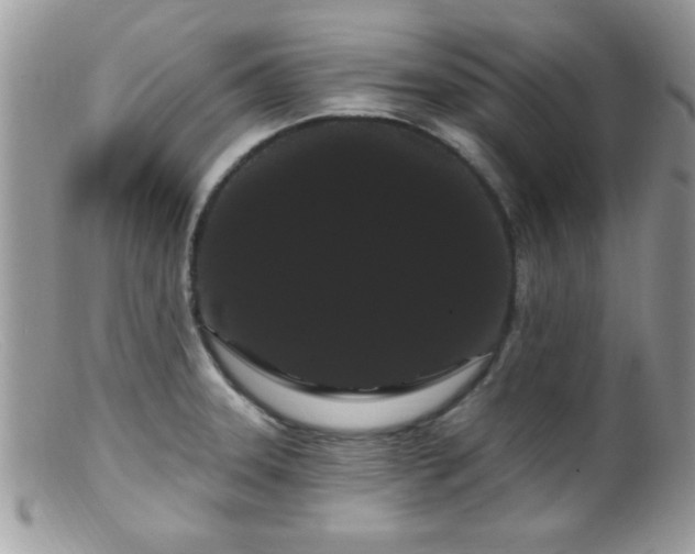 X0000099381331200805151609