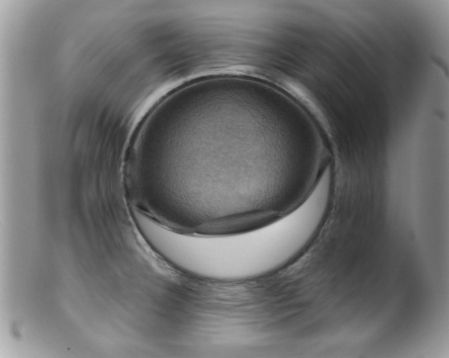 X0000099381332200805151609