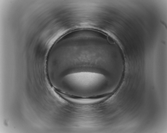 X0000099381333200805151609