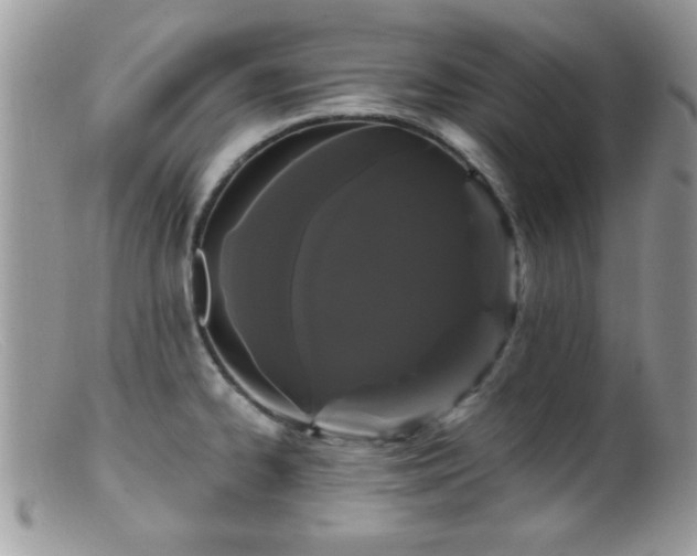 X0000099381334200805151609