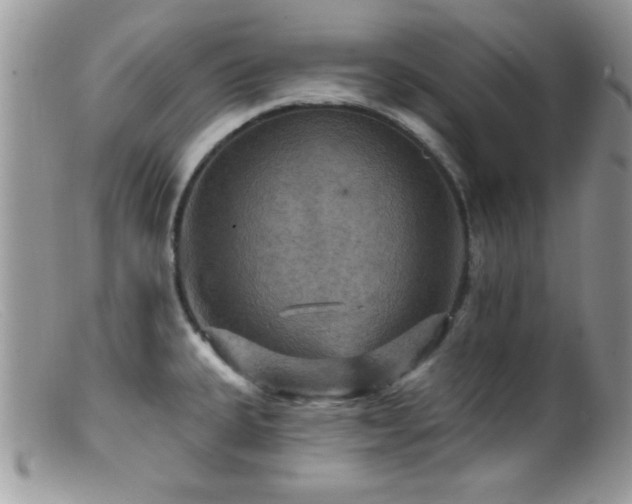 X0000099381335200805151609