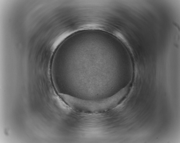 X0000099381336200805151609