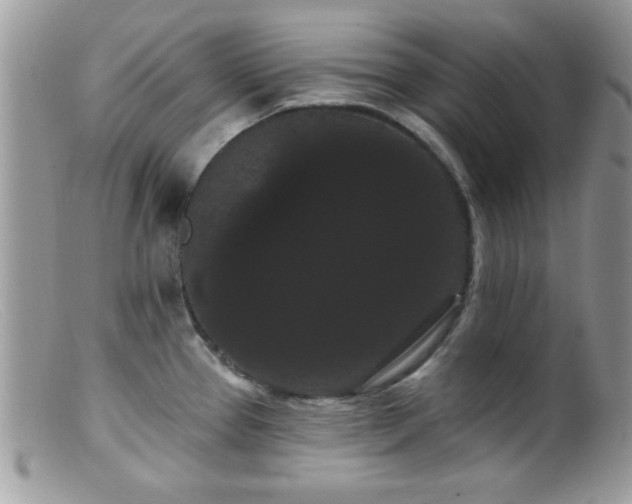 X0000099381337200805151609