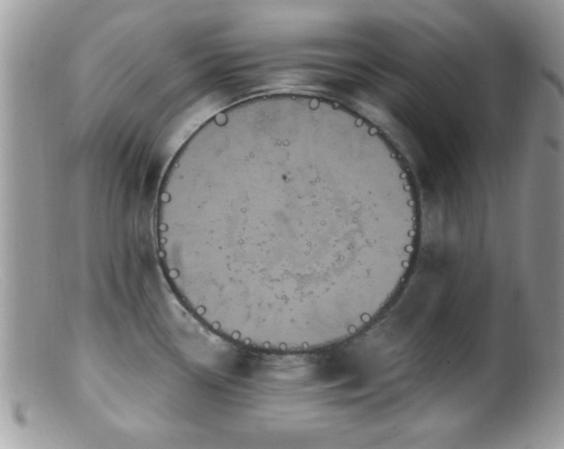 X0000099381338200805151609