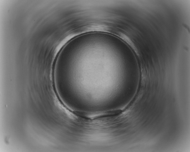 X0000099381339200805151609