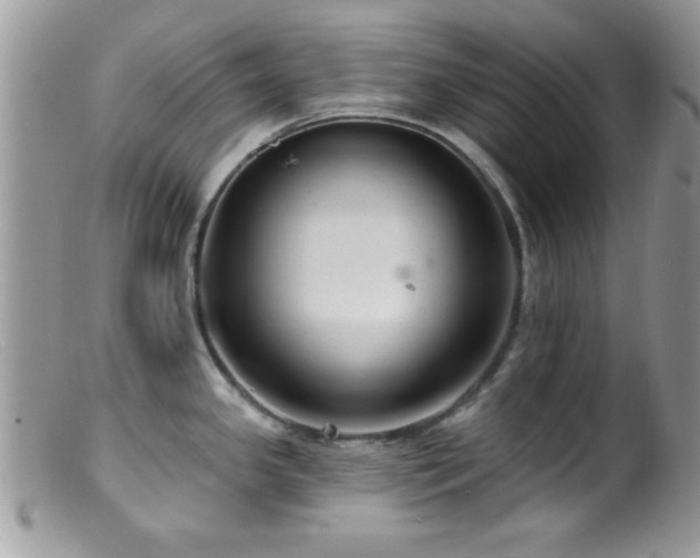 X0000099381341200805151609