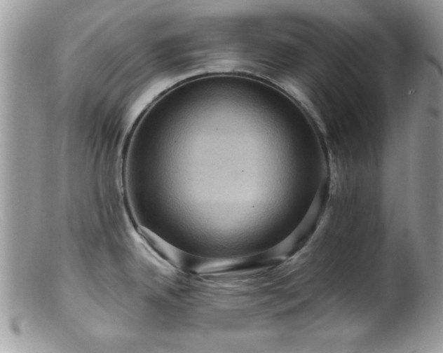 X0000099381342200805151609