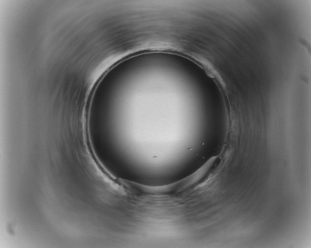 X0000099381343200805151609