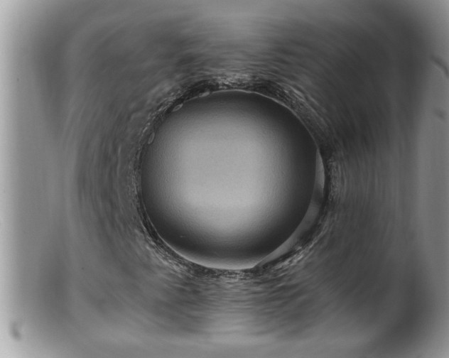 X0000099381345200805151609