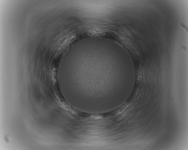 X0000099381346200805151608