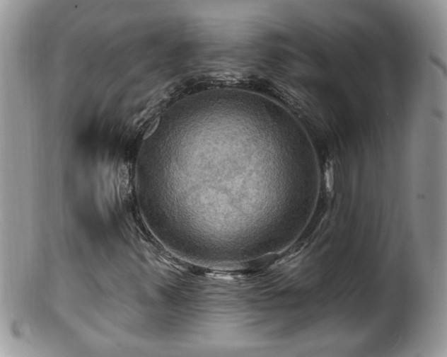 X0000099381347200805151608