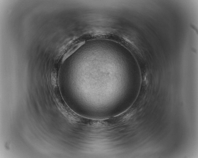 X0000099381348200805151608