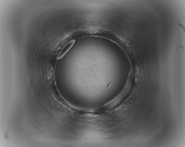 X0000099381349200805151608