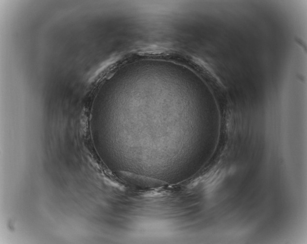 X0000099381350200805151608