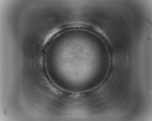 X0000099381352200805151608