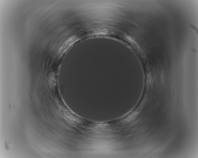 X0000099381353200805151608