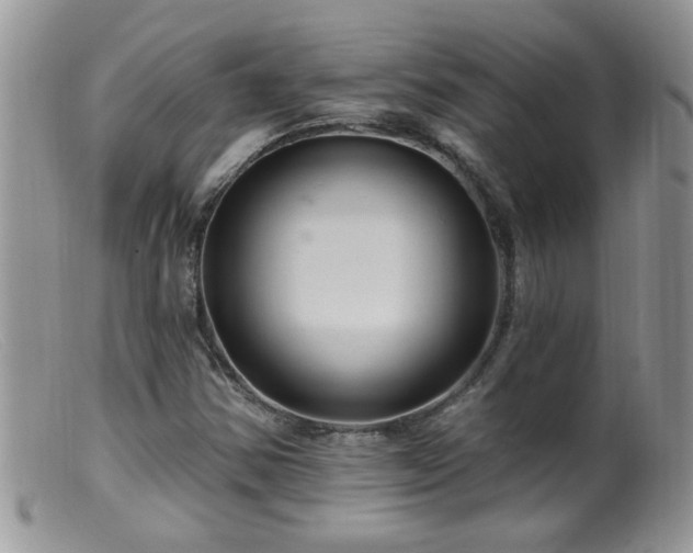 X0000099381354200805151608