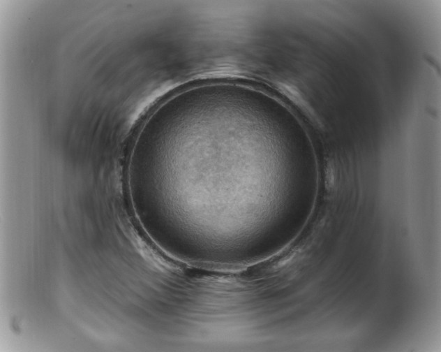 X0000099381356200805151608