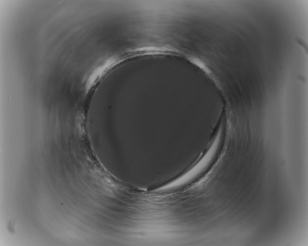 X0000099381357200805151608