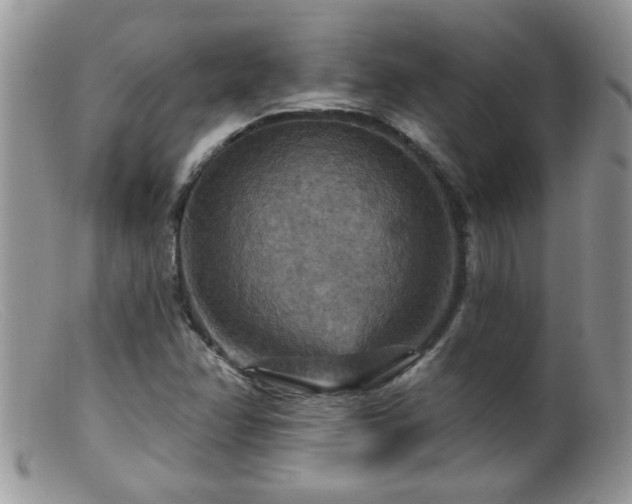 X0000099381358200805151608