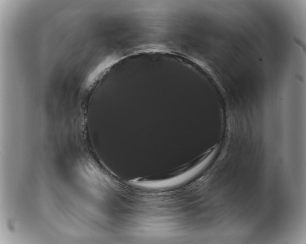 X0000099381359200805151608