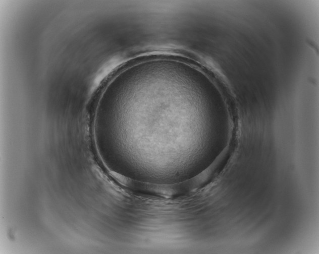 X0000099381360200805151608