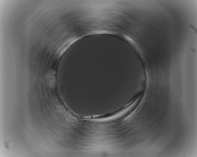 X0000099381361200805151608