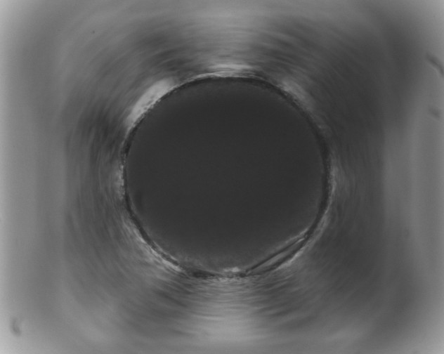 X0000099381362200805151608