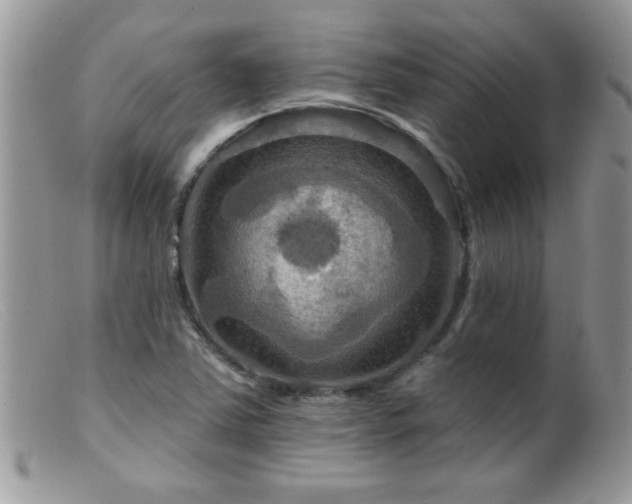 X0000099381363200805151608