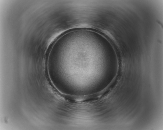 X0000099381364200805151608