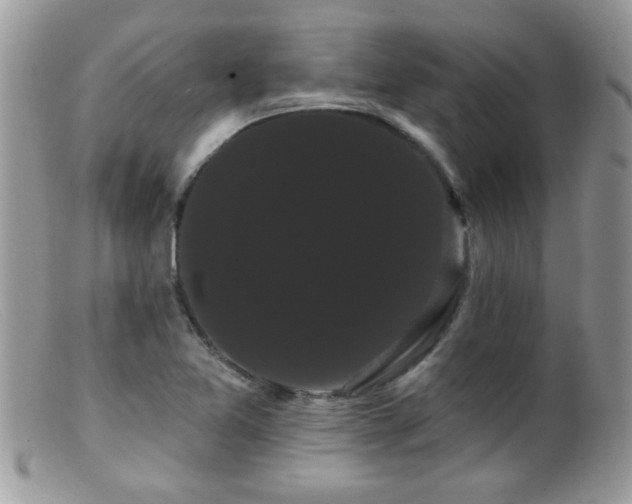 X0000099381365200805151608